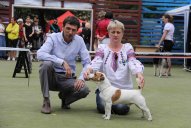 image bosh-belaya-jpg