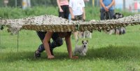 image lizomc1mcki-jpg