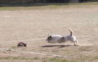 image img_7915-jpg