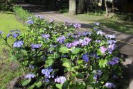 image 11-jpg