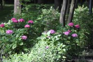 image 12-jpg