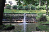 image 15-jpg