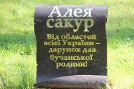 Прогулки с собакими