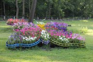 image 25-jpg