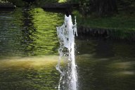 image 50-jpg