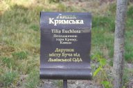 image 61-jpg