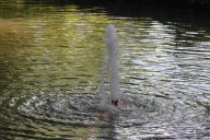 image 26-jpg