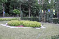image 31-jpg