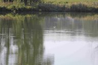 image 28-jpg