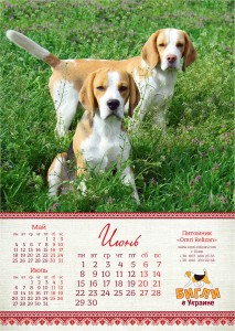 BEAGLE-2014-A37