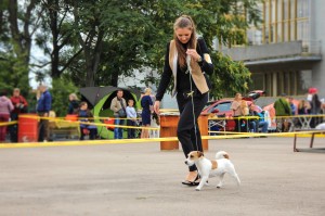 Of the Ukropka Omri Relizan 
