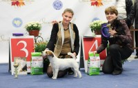 11.10.2016, FCI - CAC UA
Ladushka Omri Relizan -BIS Junior 3
