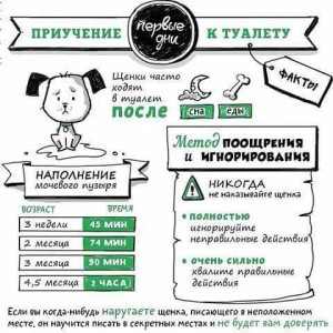 facebook_901360839