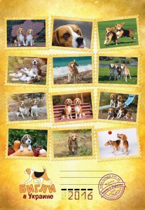 !title-beagle-kennel