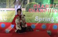 13045451_1168357089863520_143261690_n