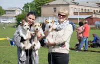 30.04.2016, FCI - CAC UA
Ladushka Omri Relizan - BIG -4
Katmary’s Kalahari - BISVeteran — 2