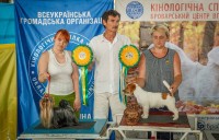 03.07.2016, FCI - CAC UA
Algrafs Villy - BIG -1, BIS -1