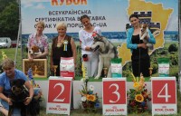17.07.2016, FCI - CAC UA
Algrafs Villy - BIS Junior -4