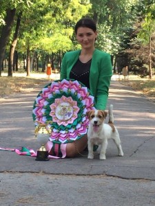 Вилли