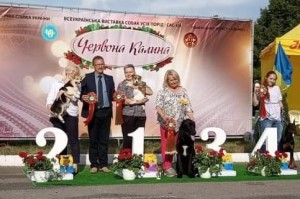 Бест