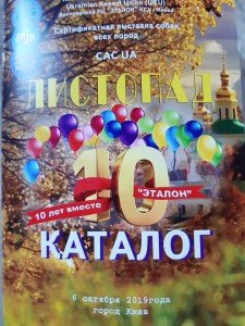 6-katalog