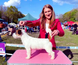YOU ARE MY SUNSHINE OMRI RELIZAN